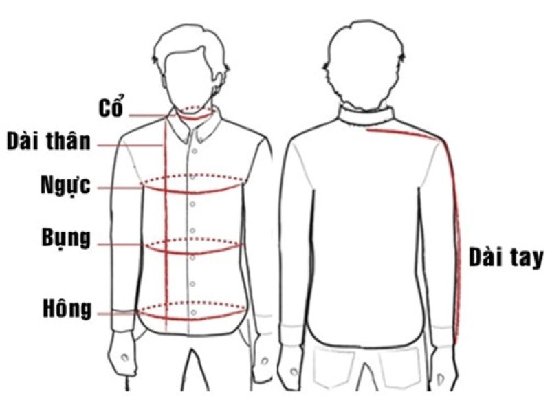 Số đo cơ thể cho size áo XL nam