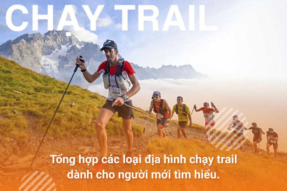 Các loại địa hình chạy trail