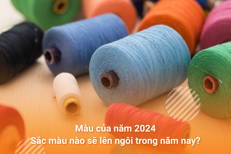 Màu của năm 2024