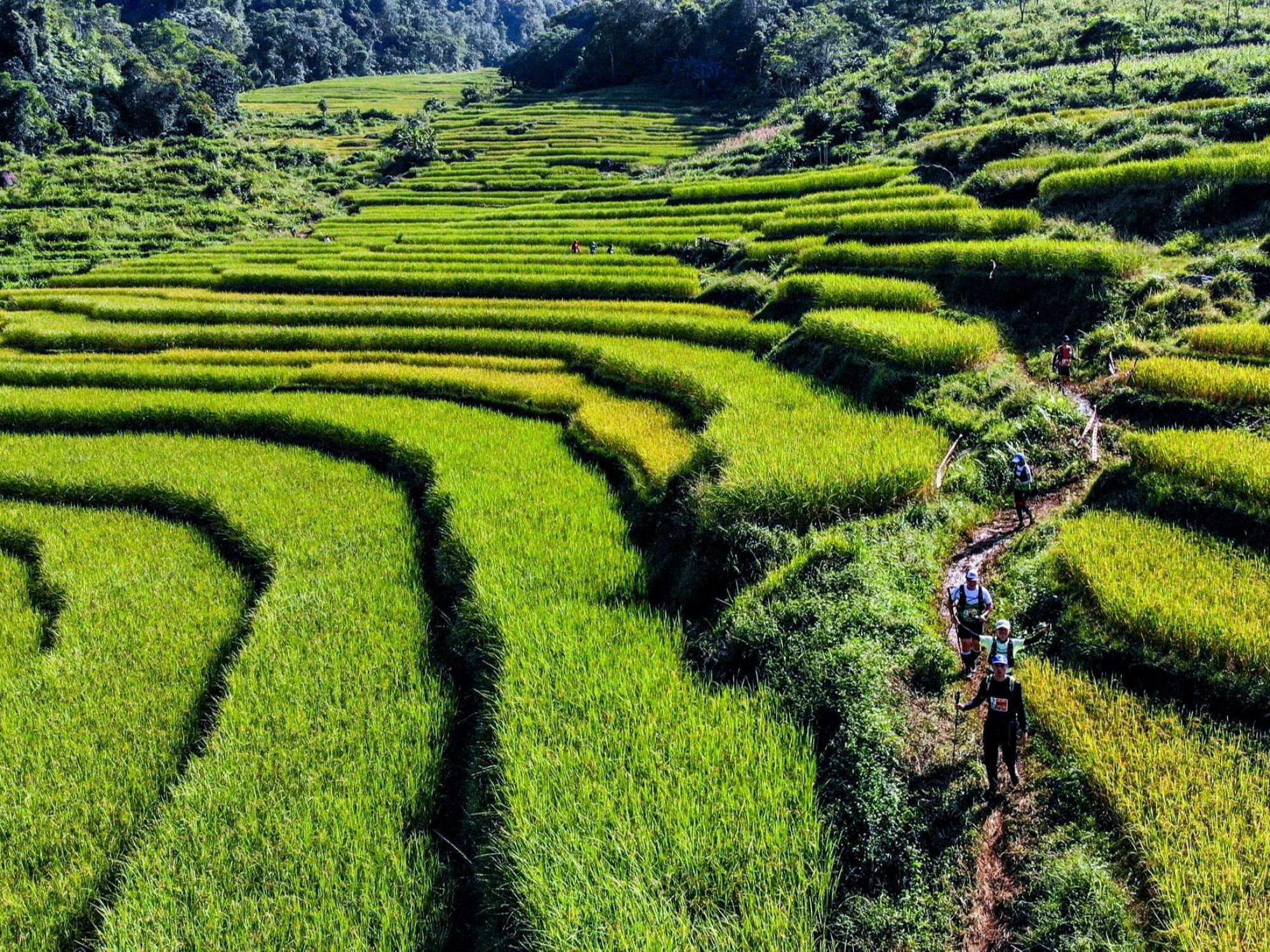 Vietnam Jungle Marathon